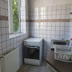 Cismigiu Garden